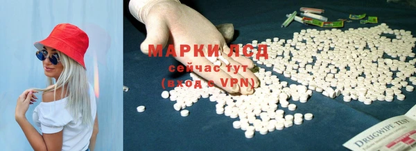 шишки Богданович