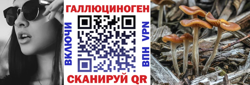 нарко площадка официальный сайт  Можайск  Псилоцибиновые грибы MAGIC MUSHROOMS  где можно купить наркотик 